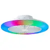 Image de Plafonnier ventilateur