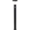 Image de Potelet Solaire Led Brilliant Tulip Détecteur De Mouvement Noir 4 W 430 Lm 3000 K 92 X 17 Cm
