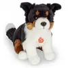 Image de Peluche - Collection - Chien Border Collie - Assis - 30 cm - Noir