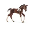 Image de Schleich Figurine 13758 - Cheval - Poulain Trakehnen