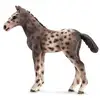 Image de Schleich Farm Life Poulain Knabstrupper