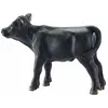 Image de Veau Angus