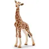 Image de Figurine bébé girafe - SCHLEICH - Modèle Bébé Girafe - 1 figurine - Savane africaine - Plastique peint à la main