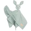 Image de Doudou Lapin Bio Lil Planet - ROBA - 40 x 40 cm - Vert