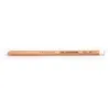 Image de Faber Castell Pitt Pastel - Blanc (Medium) (101)