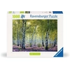 Image de Ravensburger 12000117 Jeu De Puzzle 1000 Pièce(s) Autres
