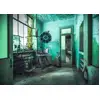 Image de Ravensburger Puzzle Lost Places - The Madhouse - 1000 Pièces
