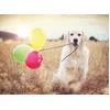 Image de Ravensburger Puzzle Celebration Day - 500 Pièces Adultes