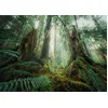 Image de Ravensburger Puzzle Nature Edition - Im Wald - 1000 Pièces