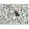 Image de Puzzle - Ravensburger - Star Wars - 1000 pièces - Pour adultes et enfants à partir de 14 ans - Multicolore