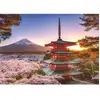 Image de Puzzle 1000 Pieces-cerisiers En Fleurs Du Mont Fuji-adultes Et Enfants-des 14 Ans-puzzle De Qualité Supérieure-12000582