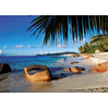 Image de Ravensburger Puzzle Unter Palmen - Puzzle 1000 Pièces