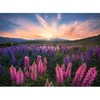 Image de Puzzle 500 pièces Les lupins (Nature edition) Dès 12 ans Puzzle de qualité supérieure 12000688 Ravensburger