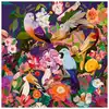 Image de Puzzle Art & Soul Observation Des Oiseaux Gr Papier Multicolore 50 X 50 Cm Ravensburger