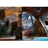 Image de Ravensburger Puzzle Alpenhaus Graffito Beelitzer Heilstätten 1000 Pièces Adultes
