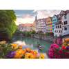 Image de Ravensburger Puzzle Tubingen 1000 Pièces Puzzle Adultes
