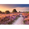 Image de Ravensburger 12001763 Puzzle Jeu De Puzzle 1000 Pièce(s) Paysage