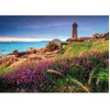Image de Puzzle 1500 pièces : La Côte Atlantique - Collection Régions de France