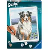 Image de Ravensburger   CreArt 24x30 cm   Adulte   Peinture par numéros   Berger Australien   Loisir créatif   12023114
