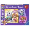Image de Pat' Patrouille Puzzles 3x49 Pieces - Charmantes Chiennes - 5 Ans