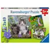 Image de Ravensburger Puzzle Chat - 3x49 Pièces - Puzzle Animaux Pour Enfants