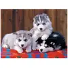 Image de Puzzle 200 Pièces Xxl Ravensburger Mignons Huskies