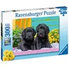 Image de Puzzle 300 P Xxl - Labradors Noirs