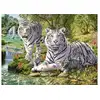 Image de Puzzle 500 P - Famille De Tigres Blancs