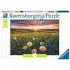 Image de Ravensburger Puzzle 500 P - Pissenlits Au Crépuscule