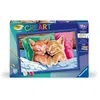 Image de Creart Kids 31x21cm Chatons Endormis