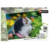Image de Puzzle Enfant Nathan Petit Chaton Curieux 250 Pièces