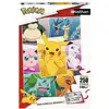 Image de Nathan Puzzle 250 P - Types De Pokémon