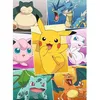 Image de Puzzle 250 pièces : Types de Pokémon