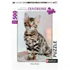 Image de Puzzle N 500 P - Chaton Bengal