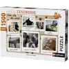 Image de Puzzle 1500 Pièces Chatons, Une Vie De Chat - Collection Tendresse - Nathan