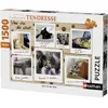Image de Puzzle 1500 pièces - Nathan - Une vie de chat - Animaux - Mixte - Intérieur