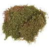 Image de Mousse en plaque - Rayher - 100g - Vert - Décorations florales - Crèche de Noël