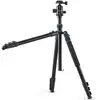 Image de CULLMANN Rondo 480M RB8.5