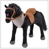 Image de Cheval Avec Son - Cheval Noir Ross