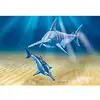 Image de Playmobil Aquarium 9068 Espadon Et Son Petit