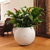 Image de Jardinière Puro Color 50 All-in-one Diamètre 50 Cm Blanc Lechuza