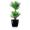 Image de Pot de fleurs - Lechuza - 28 LS Classico - Noir brillant - Système darrosage - Rond