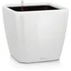 Image de Pot de fleur - LEC - Quadro Premium LS 50 - blanc brillant - système dirrigation intégré
