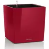 Image de LECHUZA Pot de fleur - Cube Premium 40 - 390 x 390 x 40 cm - Kit complet - Rouge scarlet brillant