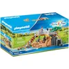 Image de Famille de lions 70343 Family Fun PLAYMOBIL