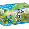 Image de Figurine cavalier et poney lewitzer PLAYMOBIL