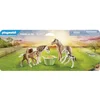Image de 2 Poneys Islandais et poulains 71000 PLAYMOBIL