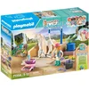 Image de Isabella Lioness aire de lavage 71354 PLAYMOBIL
