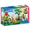 Image de Journée avec les fées 72067 PLAYMOBIL