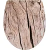 Image de Abattant WC - WENKO - Bois - Duroplast - 39 x 45 cm - Multicolore - Easy Close